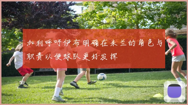 加利呼吁伊布明确在米兰的角色与职责以便球队更好发挥